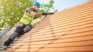 Best Solar Panel Roofing Installation  in Howard City, MI