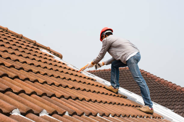 Best Rubber Roofing (EPDM, TPO)  in Howard City, MI